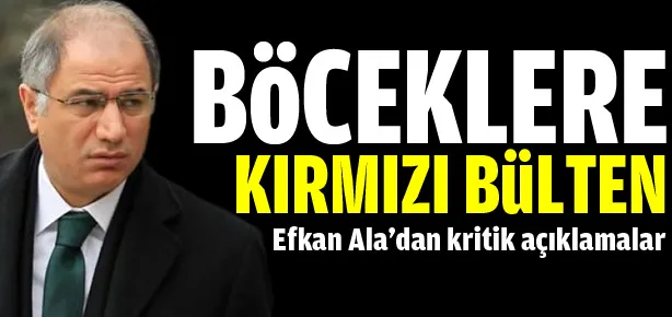 Böceklere İnterpol