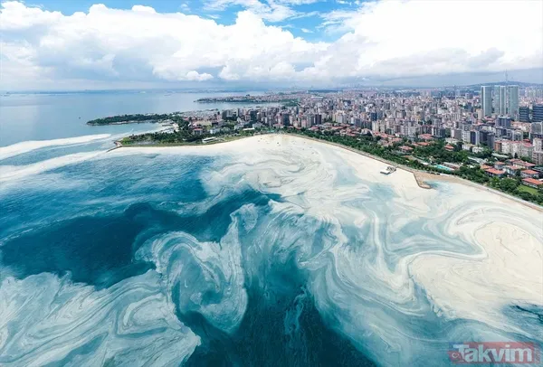 Caddebostan Sahili'nde müsilaj yoğunluğu arttı! Tabloya benzer görüntüler oluştu - 1
