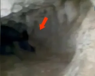Mağaraya giren köylüler şoke oldu!