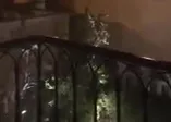 Suudi Arabistan'da çatışma anları