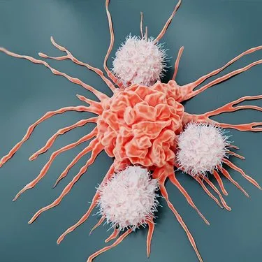 İç organları anadan doğma tekrar yeniliyor: 7 günde 1 adet tüketene kanser yaklaşmayacak!