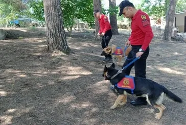 Korhan Berzeg'ten 18 gündür haber yok! 35 yıllık komşusundan dikkat çeken sözler: Daha önce de Büyükada'da kaybolmuştu