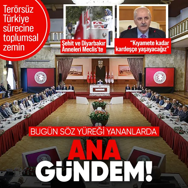 Komisyonda söz yüreği yanmış analarda! Şehit ve Diyarbakır Anneleri Mecliste... Kıyamete kadar kardeşçe yaşayacağız
