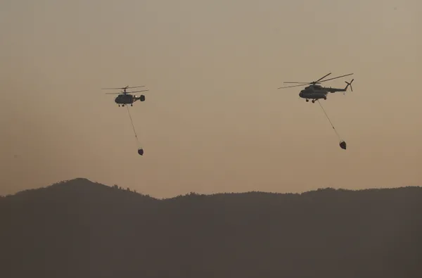 son-dakika-marmariste-yangin-alevler-nasil-basladi-10-yaslarindaki-iki-cocugun-ifadesi-alindi-kitap-yakiyorduk-alev-cogaldi-1627631620233.jpg SON DAKİKA: Marmaris'te yangın! Alevler nasıl başladı? 10 yaşlarındaki iki çocuğun ifadesi alındı: Kitap yakıyorduk alev çoğaldı-7