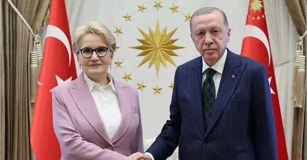 Başkan Erdoğan eski İYİ Parti Genel Başkanı Meral Akşener hakkındaki davalarından feragat etti