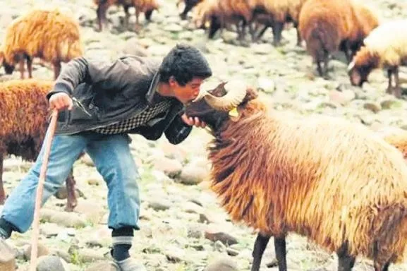 Nijeryalı çift Rize'de tanışarak evlendi: Salonda yerel danslarını sergiledi (Yaşam haberleri)-5