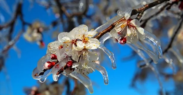 Baharın müjdecisi ilk cemre havaya düştü: İşte suya ve toprağa düşeceği tarih