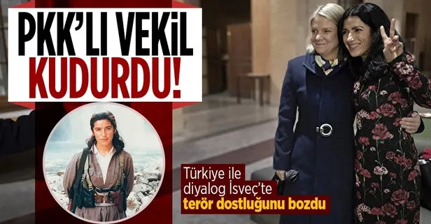 İsveç’in açıklamaları PKK’lı vekil Kakabaveh’i kudurttu! Türkiye ile diyalog terör dostluğunu bozdu