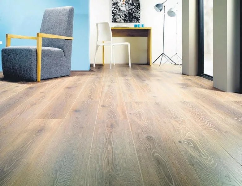 Parke haritasını çıkardı