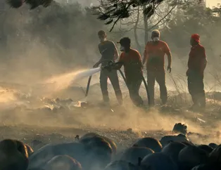 Hatay'daki yangından son dakika görüntüleri: Alevlerden böyle kaçtılar