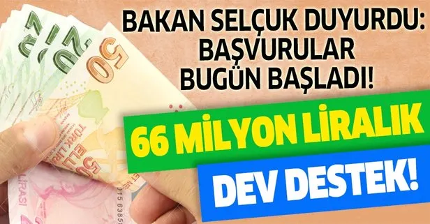 Aile, Çalışma ve Sosyal Hizmetler Bakanı Zehra Zümrüt Selçuk: İş sağlığı ve güvenliğine 66 milyon lira destek sağlanacak
