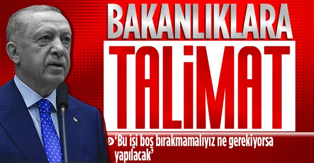 Başkan Erdoğan'dan sokak köpekleri açıklaması: Bakanlıklara talimatı verdim