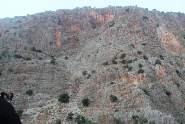 kelebekler-vadisinden-dusup-olmustu-7-aylik-hamile-kadinla-ilgili-flas-gelisme-1612791137327.jpg Kelebekler Vadisi'nden düşüp ölmüştü! 7 aylık hamile kadınla ilgili flaş gelişme-8