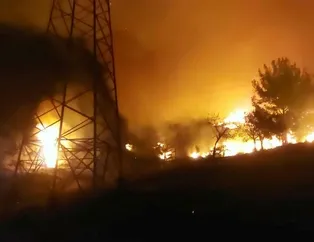 Hatay’da orman yangını!