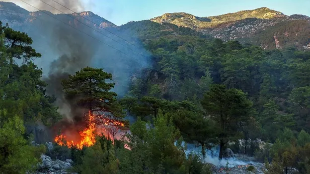 baskan-erdogan-yangin-felaketinin-yasandigi-manavgattaki-vatandaslara-seslendi-insallah-bolgede-olacagim-1627682241454.jpeg Başkan Erdoğan yangın felaketinin yaşandığı Manavgat'taki vatandaşlara seslendi! "İnşallah bölgede olacağım"-3