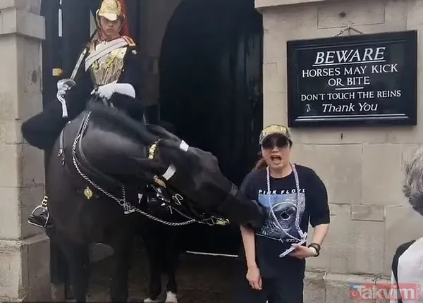 İngiltere’de Kraliyet atı krizi! Çinli turist ‘dikkat ısırır’ uyarısını görmeyince olanlar oldu: Çığlık çığlığa arkadaşlarına koştu - 1