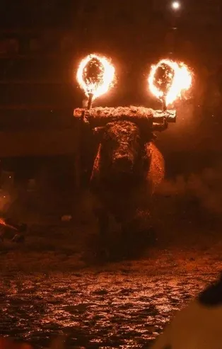 İspanya'da canlı boğayı ateşe verdiler