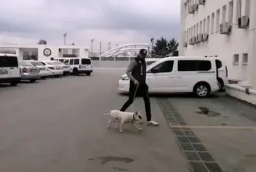 Hayret dogrusu