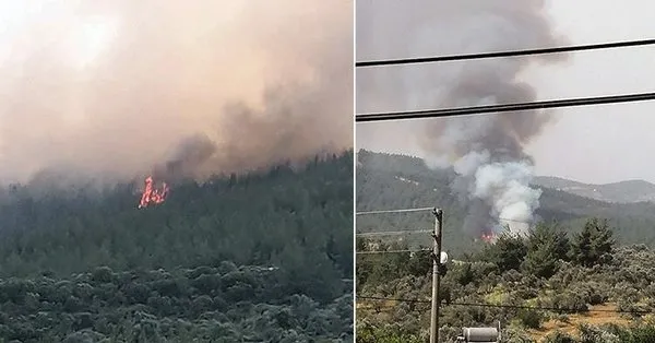Mugla Milas Ve Kutahya Cavdarhisar Da Ormanlik Alanda Yangin Takvim