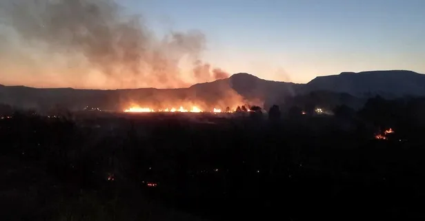 Ankara Nallıhan’da yangın!