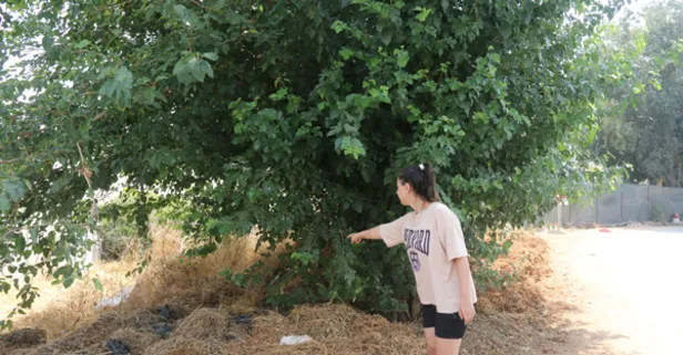Antalya'da 10 günlük bebeği ağaç altına bırakan aile bulundu!