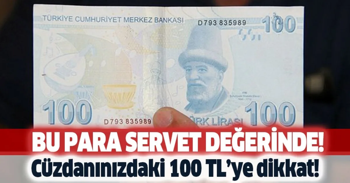 cuzdaninizdaki 100 tl servet