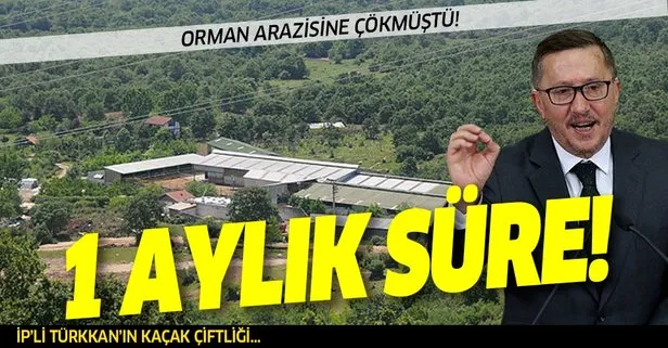 Orman arazisine çöken İYİ Partili Türkkan’a belediyeden bir aylık süre!