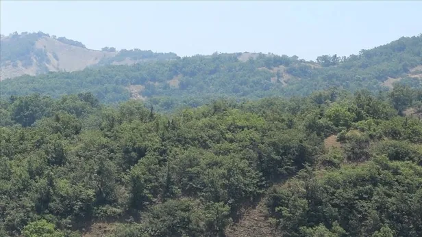 Orman yangınlarına müdahalede etkinlik "erken uyarı" sistemiyle arttı: 15-25 saniyede tespit ediliyor!-3