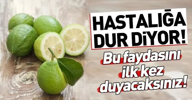 Limon Parkinson Un Ilerlemesini Durduruyor Takvim
