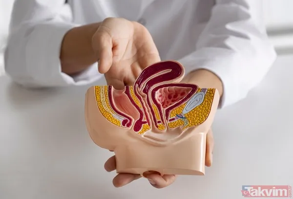 İbrahim Saraçoğlu’ndan makat çatlağını geçiren mucizevi kür - 5