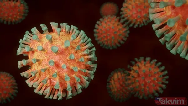 Yeni Covid varyantı hızla yayılıyor! Kış öncesi bu belirtiyle ortaya çıkıyor - 5