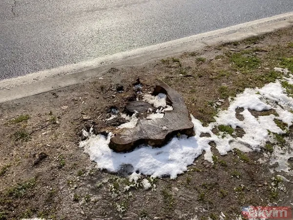 İBB'nin ağaç katliamı karşısında kafasını kuma gömenlere tepki! "Muhalefet keserse ağaçlar hasta, hükümet keserse doğa düşmanı..." - 14