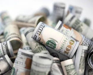 Dolarda son dakika hareketliliği! 14 Ocak euro ve dolar ne kadar, kaç lira oldu? Güncel döviz kurları