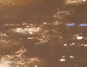 İzmir Çiğli’de simsiyah atık su doğrudan İzmir Körfezi’ne akıyor