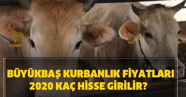 buyukbas kurbanlik fiyatlari 2020 kac