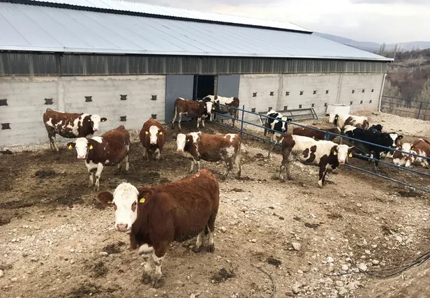 Kurban Bayramı ne zaman 2021? Kurban Bayramı tatili kaç gün sürecek?-6