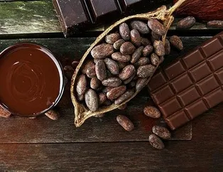 Ağız yarasına kakao yağı