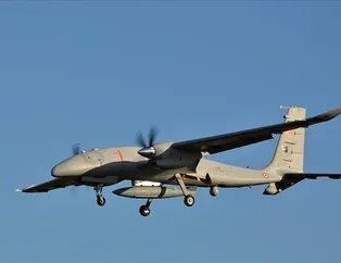 Türk kuşlarında bir başarı daha!