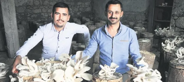 Mantara bağladılar