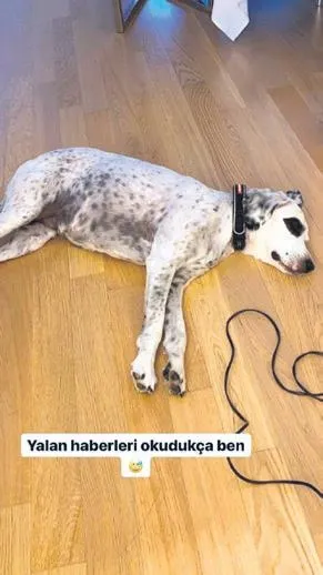 benekli-yanit-1602279257425.jpeg Hadise'den 'Kaan Yıldırım'dan ayrıldı' iddialarına esprili yanıt-2