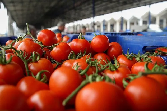 Savaş nedeniyle ihracat durdu fiyatlar yüzde 50 düştü! Daha da düşecek