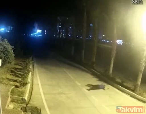 Mersin'de şehit düşen polis memuru Sedat Gezer teröristlerle kahramanca çarpıştı! Teröristlerle bekçilerin de çatışmasına ilişkin yeni görüntüler çıktı - 7