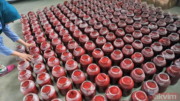 Kışlık salça hazırlığında yapılan kritik hata: Bu yanlış ölüme yol açıyor - 1