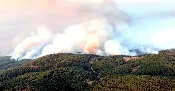 Orman Genel Müdürlüğü’nden ’Köyceğiz’de yangın söndürme helikopteri düştü’ iddiasına yalanlama