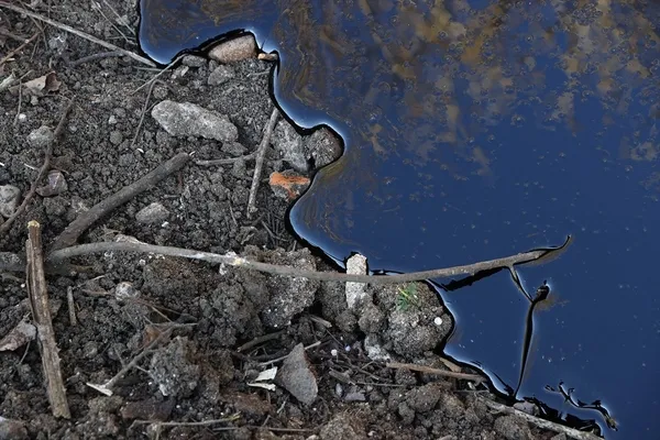 edirnede-tonlarca-zift-tarim-arazilerini-mahvetmisti-sirketin-faaliyetleri-durduruldu-1649770273874.jpg Edirne'de tonlarca zift tarım arazilerini mahvetmişti! Şirketin faaliyetleri durduruldu-4