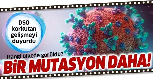 DSÖ’den flaş açıklama: Japonya’da koronavirüsün mutasyona uğramış başka türü tespit edildi