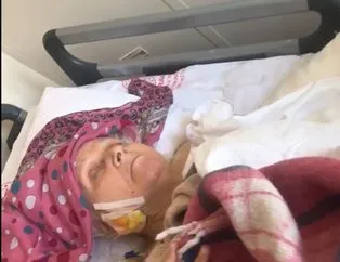 Pitbullun saldırdığı yaşlı kadının hayatı karardı