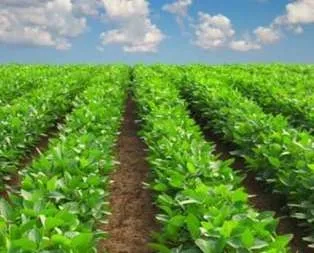 Güneş enerjisiyle çalışan sulama makinesi