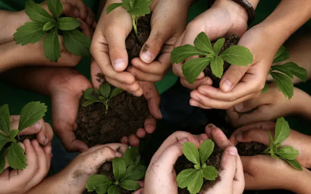 Geleceğe Nefes katılım belgesi nasıl alınır?-5