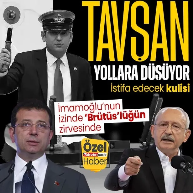 ne-tunceli-ziyareti-bosuna-ne-de-telefon-sovu-imamoglu-manifesto-oncesi-nabiz-yokladi-1691645388227.jpeg Tunceli'de nabız yokladı telefon şovunu boşuna yapmadı! İmamoğlu'ndan değişim ekibine "çabuk olun" baskısı: Özgür Özel ve tavşan aday formülü-7